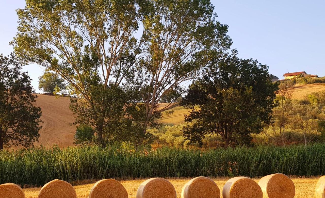 Country-House Pecora Nera Guest House Mosciano Sant'Angelo Exterior photo